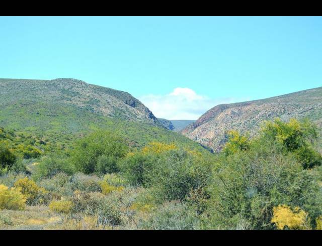 FARM FOR SALE IN CALITZDORP